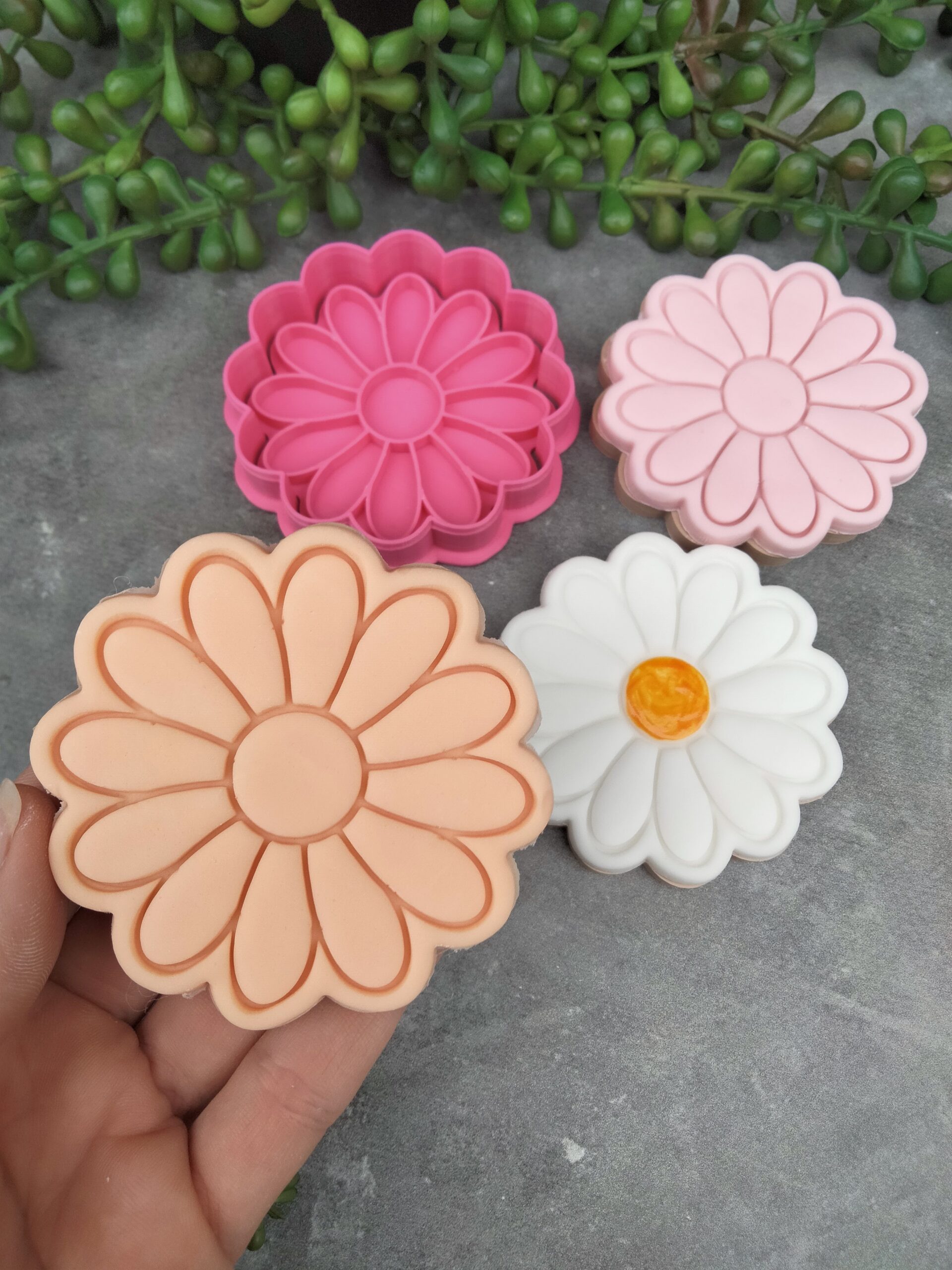 Daisy Flower Cookie Cutter & Fondant Embosser Stamp Set – 12 Petal