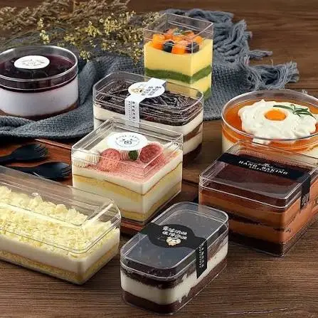 Premium Dessert Container with Transparent Lid – Assorted Shapes (Pack of 60)